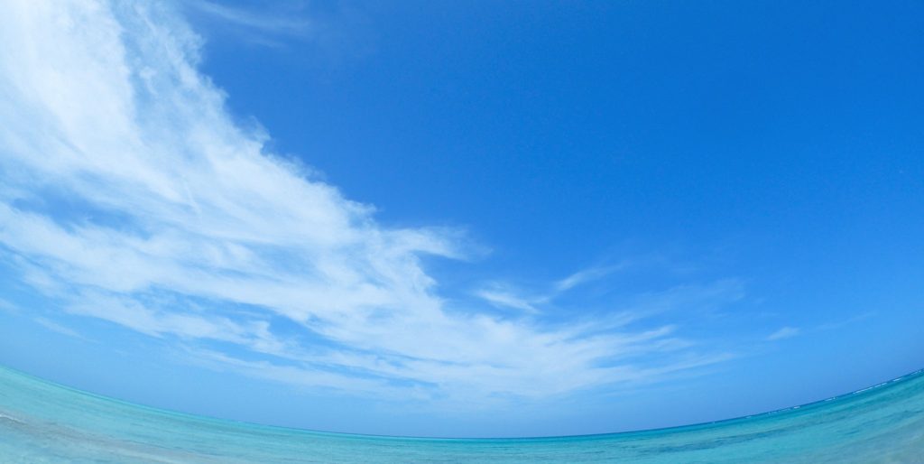 派遣かどうかは関係ない