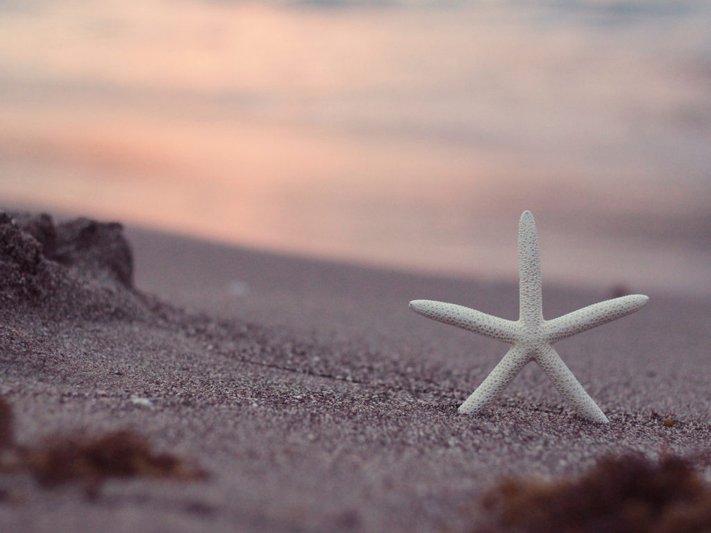 雇用保険の加入期間